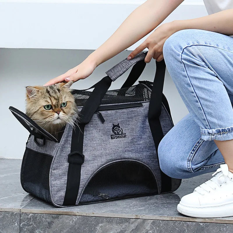 Pet Training Treat Pouch & Walking Waist Bag