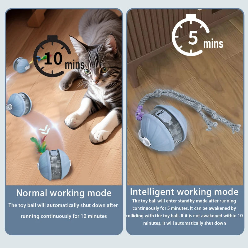 Interactive Rechargeable Rolling Pet Ball Toy