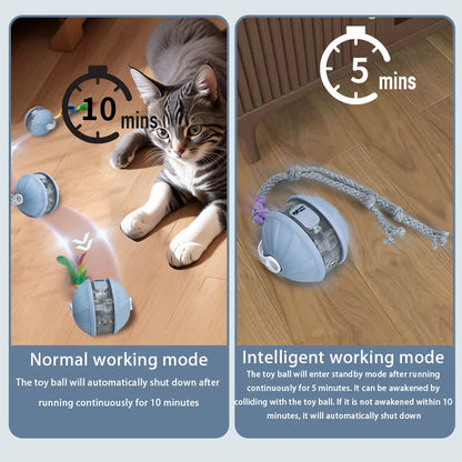 Interactive Rechargeable Rolling Pet Ball Toy