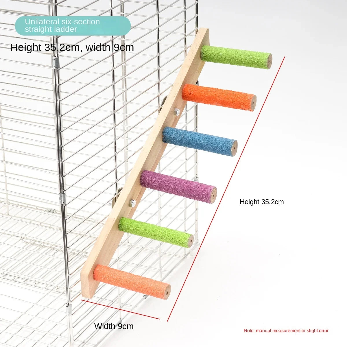 Bird Climbing Ladder