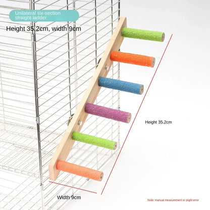Bird Climbing Ladder
