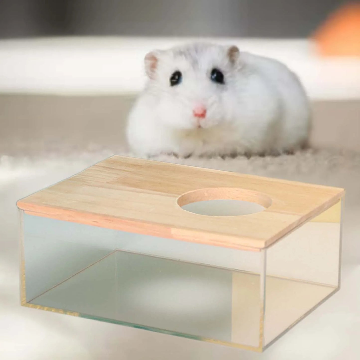 Acrylic Hamster Sand Bath House