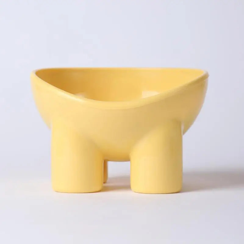 Elevated Pet Bowl with Non-Slip Stand