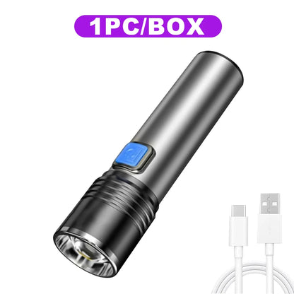 USB Rechargeable 395nm UV Flashlight