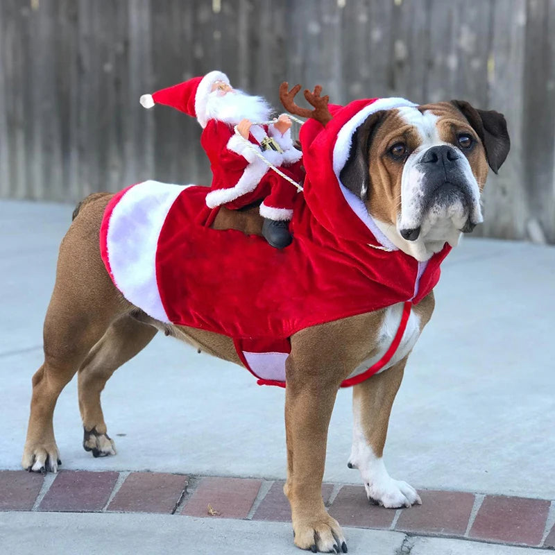 Santa Claus Riding Dog Christmas Costume