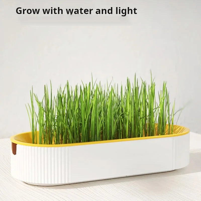 Hydroponic Cat Grass Growing Kit