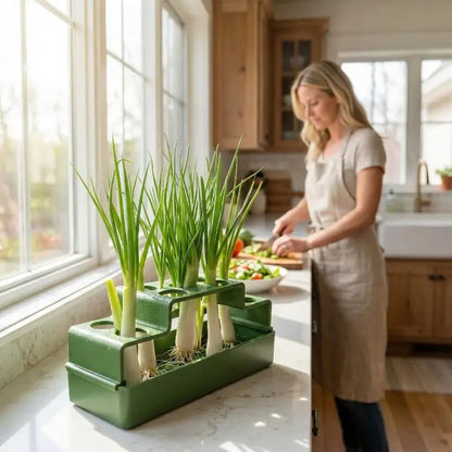 Hydroponic Green Onion Planter with Self-Watering Reservoir