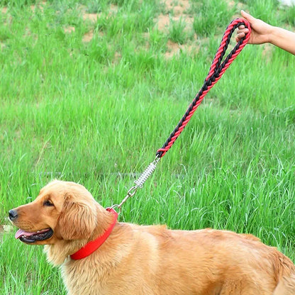 Shock Absorbing Dog Leash – Braided Nylon Training Lead
