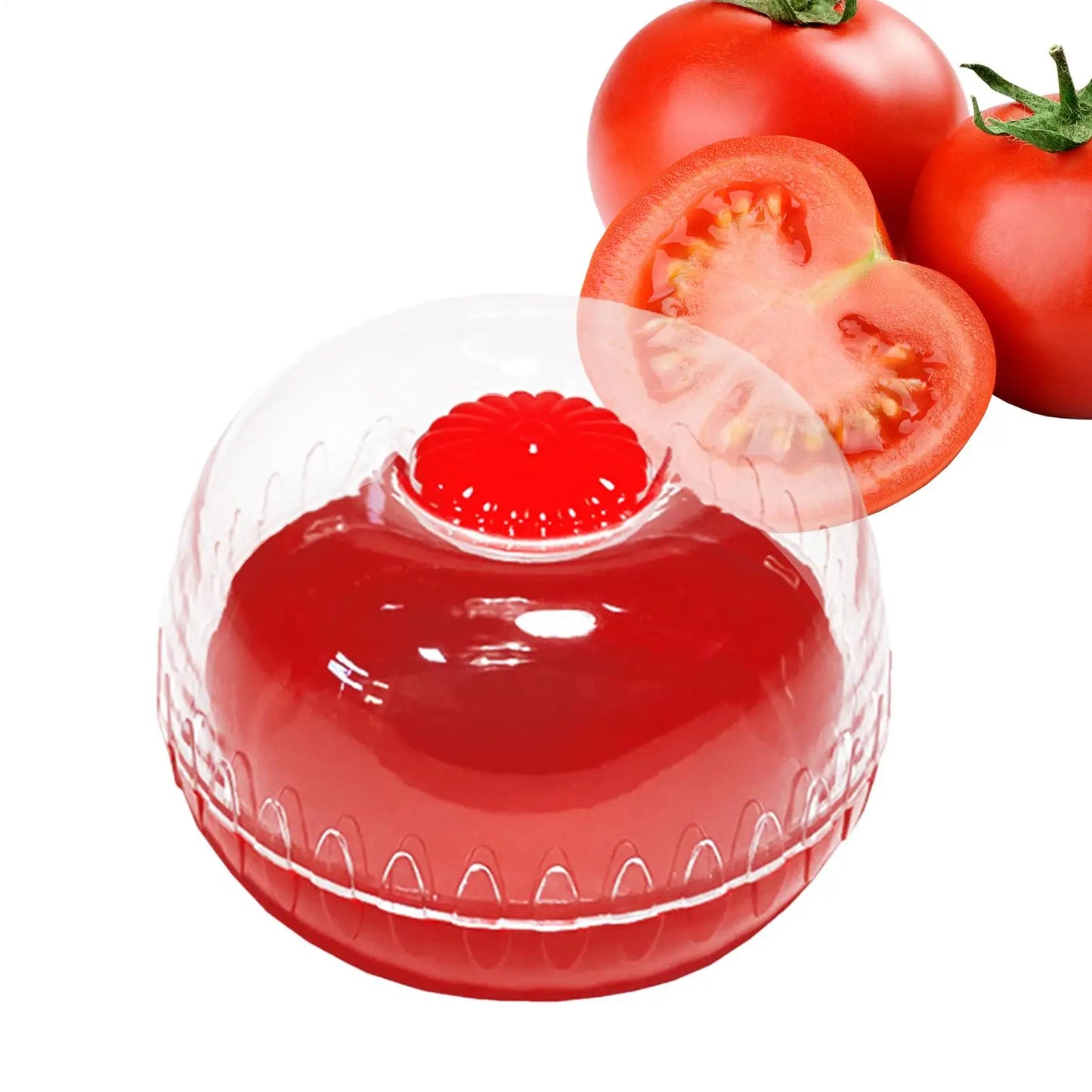 Fruit Preservation Box