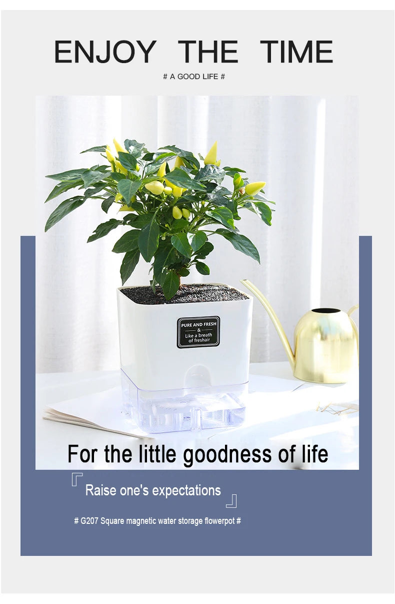 Self-Watering Plant Pot