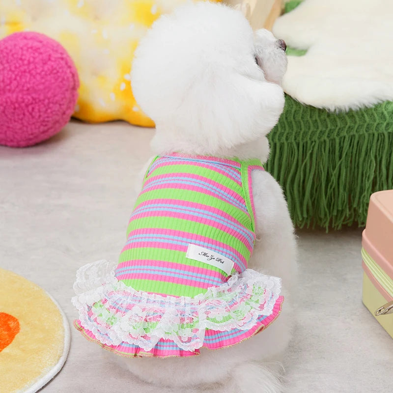 Striped Summer Dog Dress with Lace Skirt