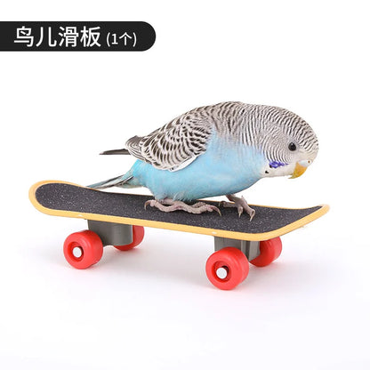 Interactive Bird Training Toy Set