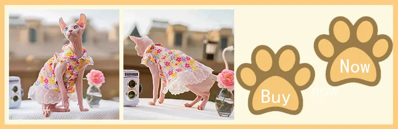 Adjustable Cotton Cat Sun Hat