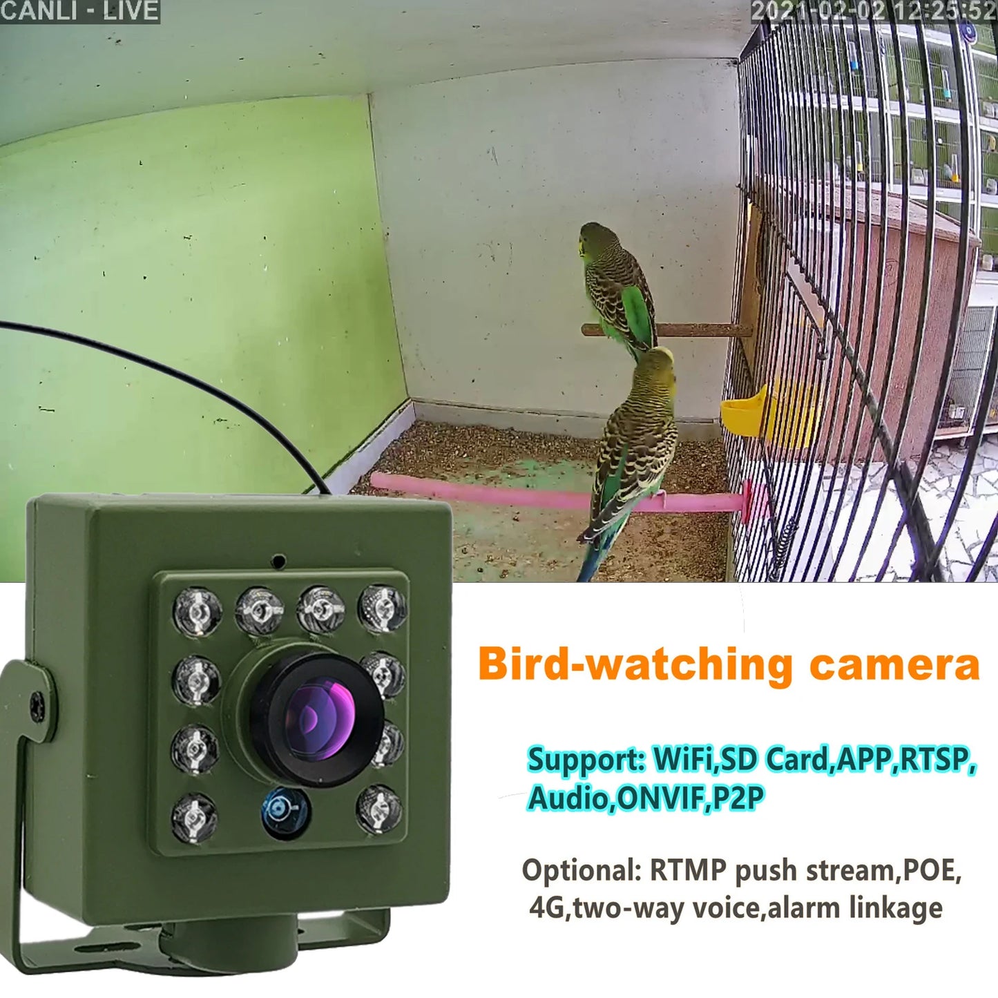 WiFi Bird Box Nest Camera