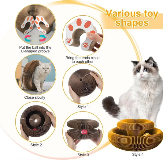 Magic Cat Scratch Ball Board Toy