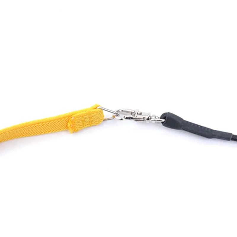 Parrot Training Harness & Anti-Bite Leash Set
