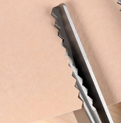 Professional Stainless Steel Pinking Shears