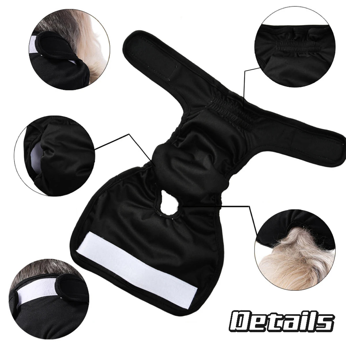 Washable Female Dog Diaper
