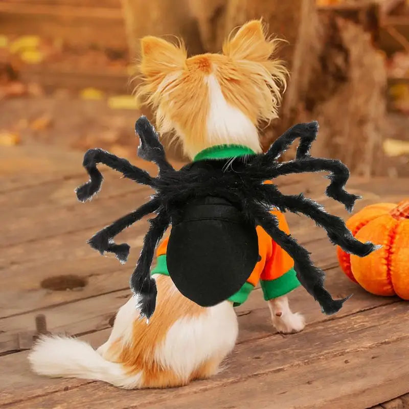 Spider Costume for Cats & Dogs