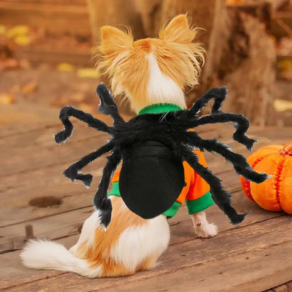 Spider Costume for Cats & Dogs