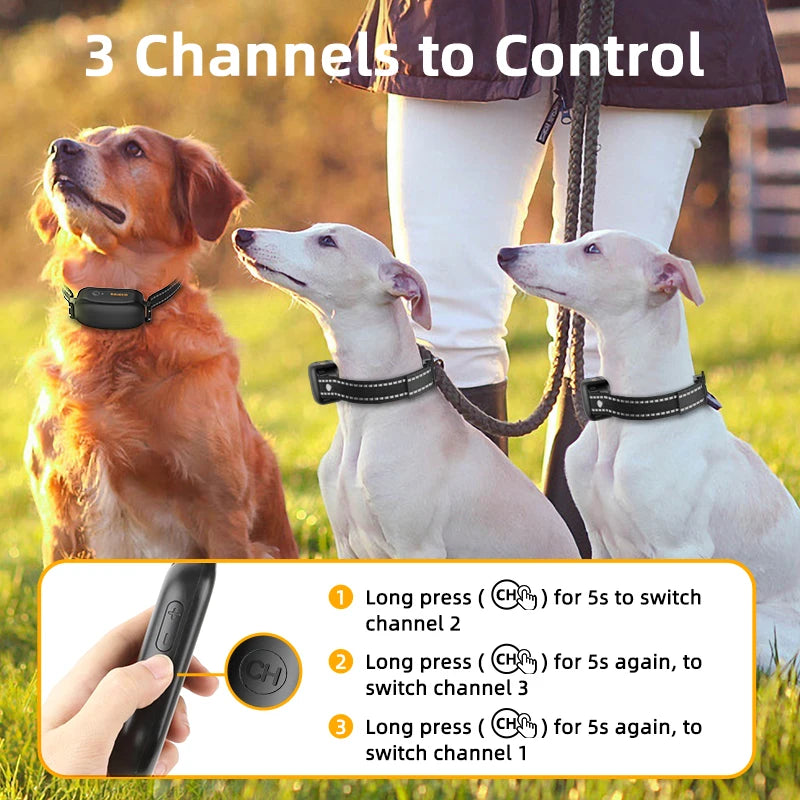 Rechargeable Remote Dog Training Collar