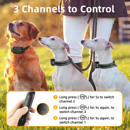 Rechargeable Remote Dog Training Collar