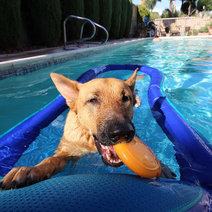 Interactive Squeaking Treat Dispensing Dog Disc