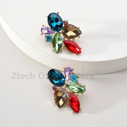 Colorful Crystal Charm Earrings