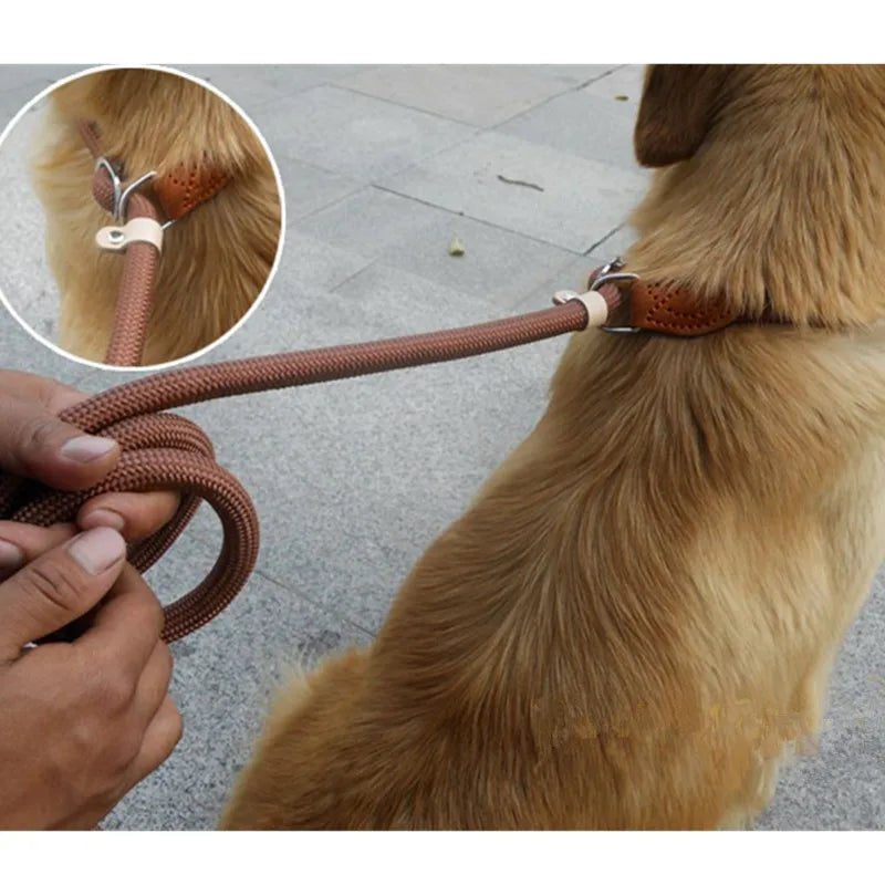 Heavy Duty Slip Lead Dog Training Leash