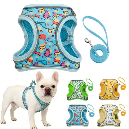 Breathable Mesh Dog Harness & Leash Set