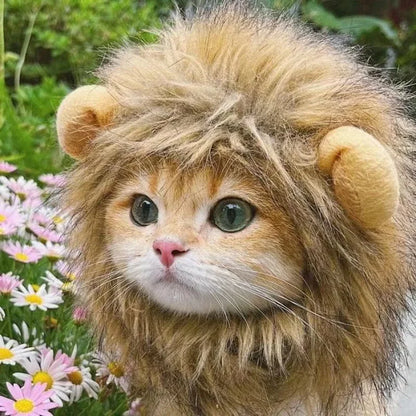 Lion Mane Costume for Cats & Dogs