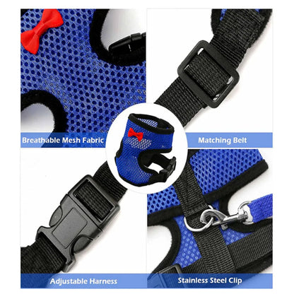 Adjustable Poultry Harness & Leash Set