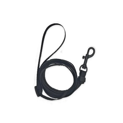 Reptile Harness Leash Set