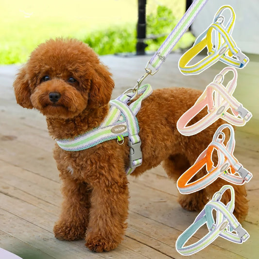 Colorful No-Pull Adjustable Dog Harness