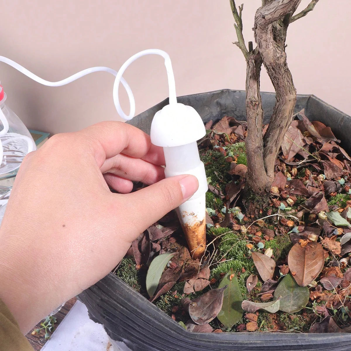 Ceramic Watering Spikes Set