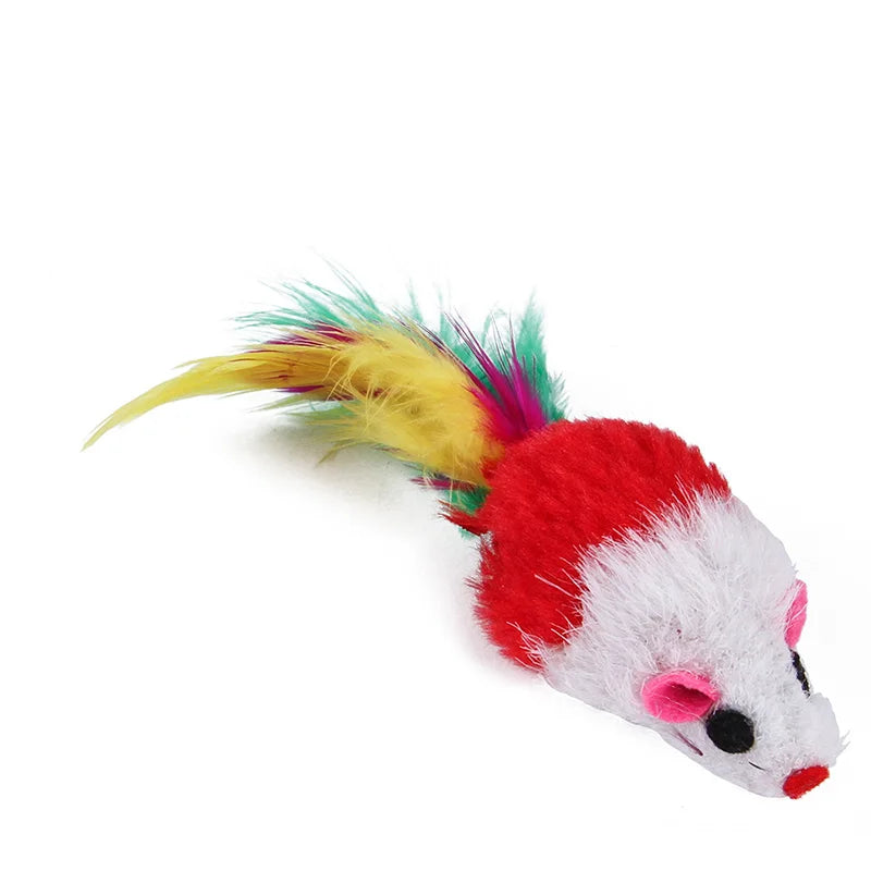 Kitten Toys Variety Pack – Interactive Cat Toy Set