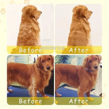 3-in-1 Pet Steam Brush