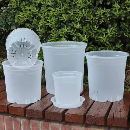 Transparent Nursery Plant Pot