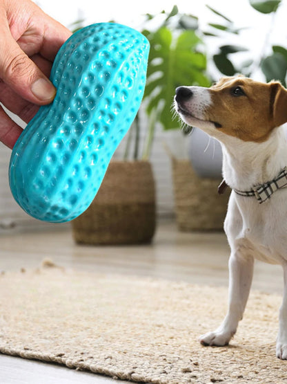 Peanut Squeaky Dog Chew Toy