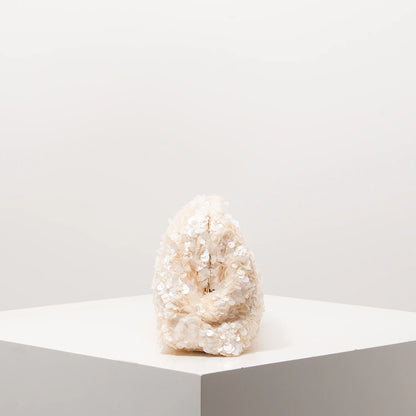 Sequin Evening Clutch Bag