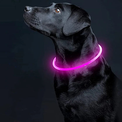 USB Rechargeable LED Dog Collar