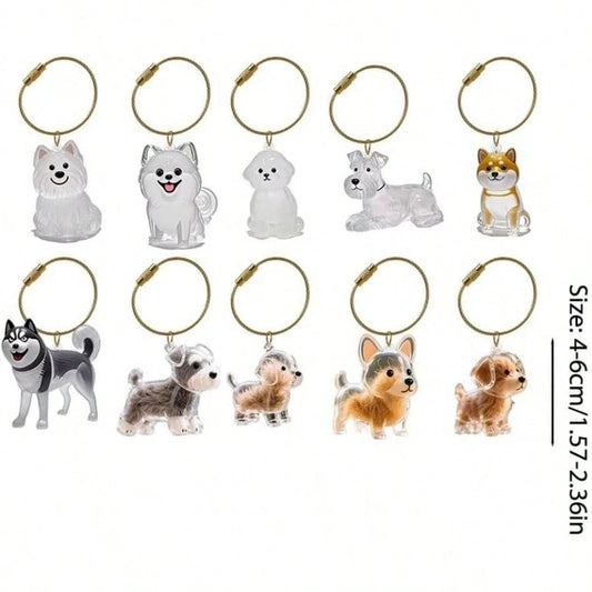 Pet Hair Memorial Keepsake Keychain