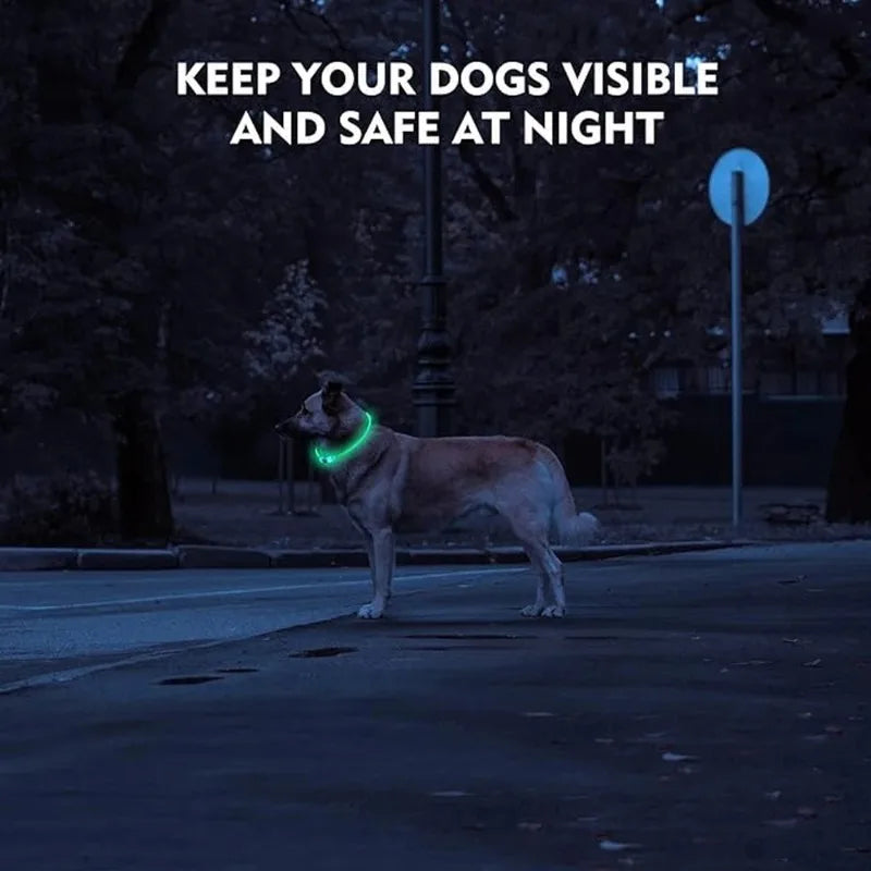 LED Light Up Dog Collar with USB Charging