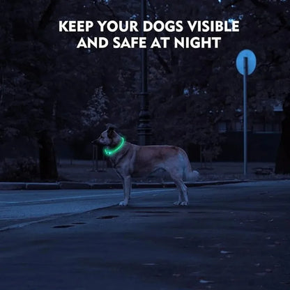 LED Light Up Dog Collar with USB Charging