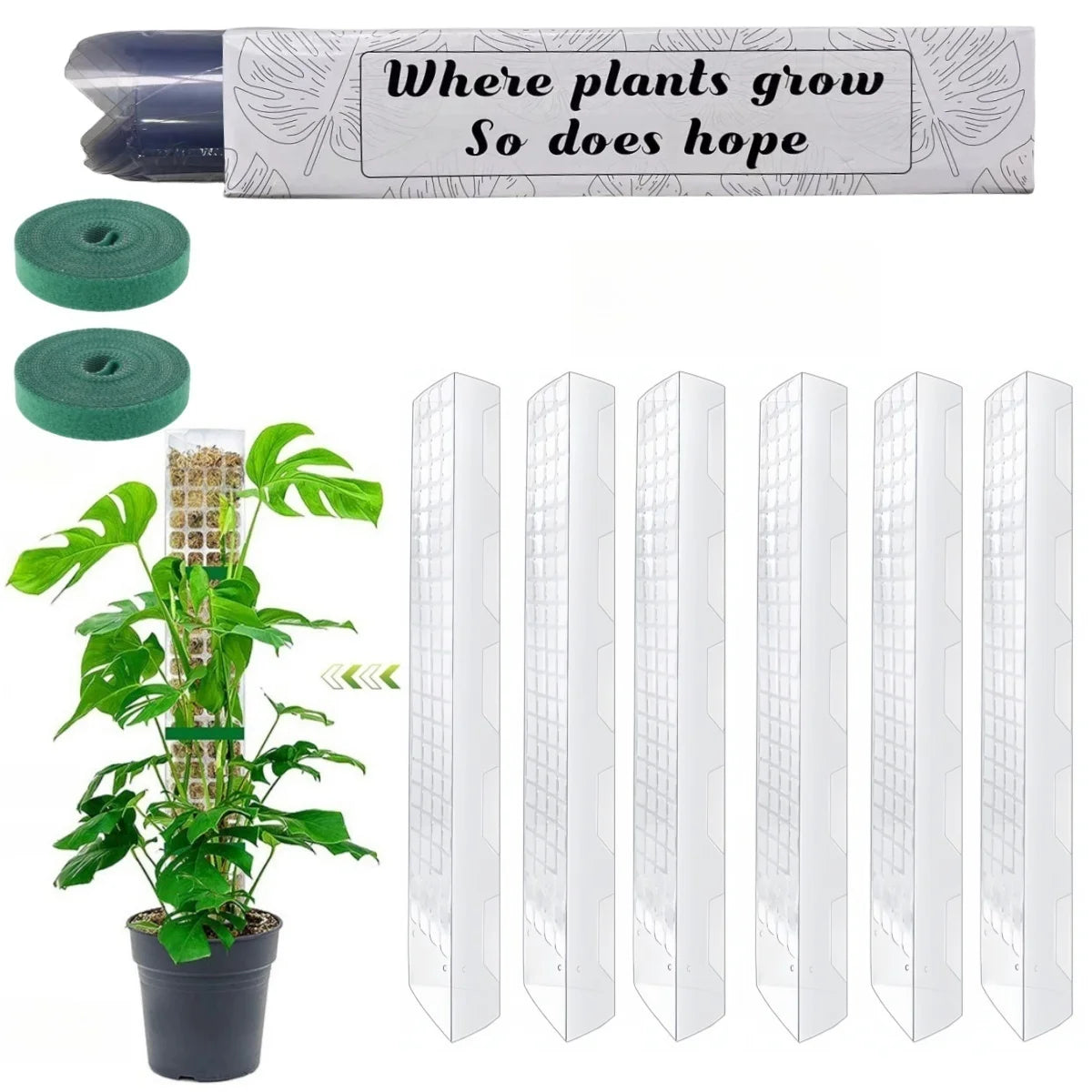 Transparent Plant Moss Pole Support