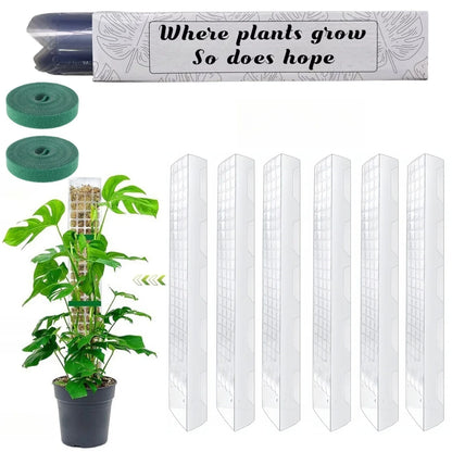 Transparent Plant Moss Pole Support