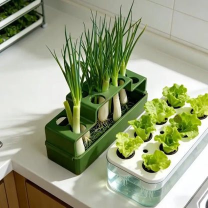 Hydroponic Green Onion Planter with Self-Watering Reservoir