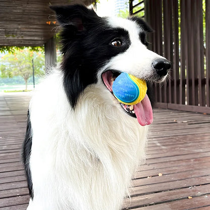 TPR Squeaky Dog Ball Toy