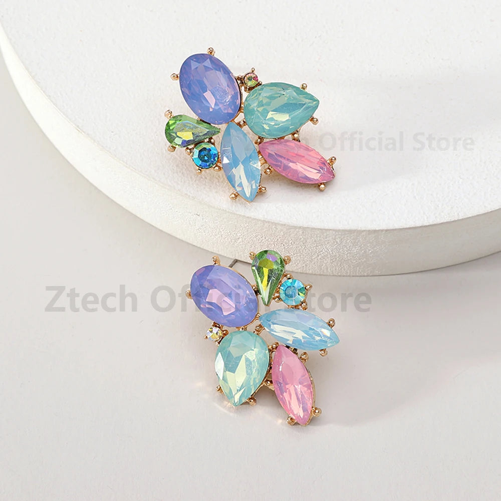 Colorful Crystal Charm Earrings