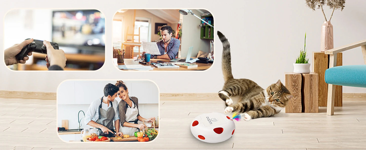 Interactive Whack-A-Mole Cat Toy